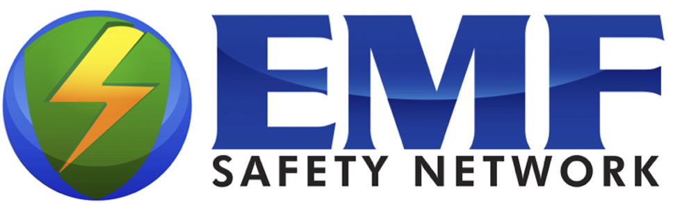 EMFSN logo