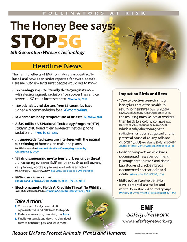 Pollinators at Risk: Take Action